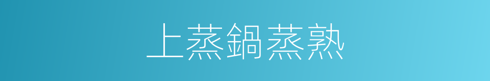 上蒸鍋蒸熟的同義詞