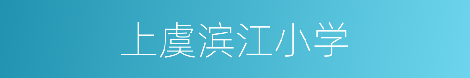 上虞滨江小学的同义词