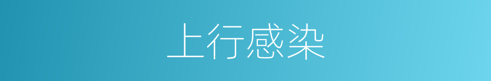 上行感染的同义词