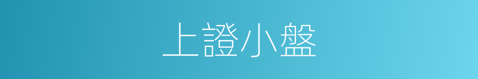 上證小盤的同義詞