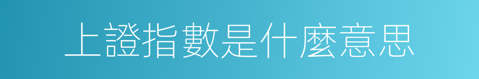 上證指數是什麼意思的同義詞