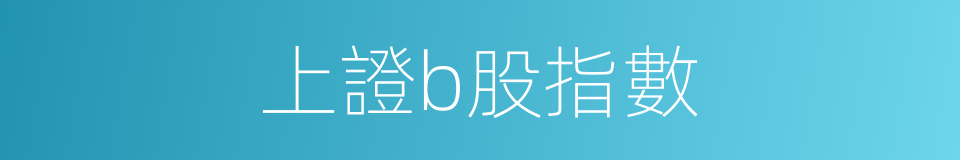 上證b股指數的同義詞