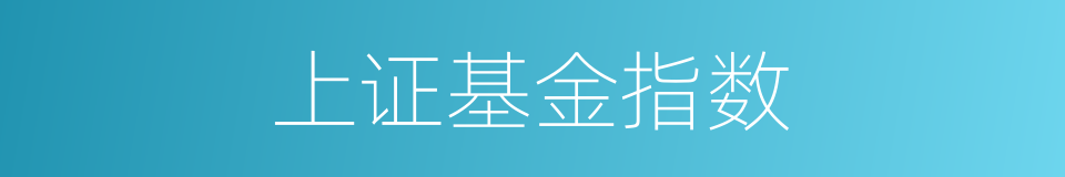 上证基金指数的同义词