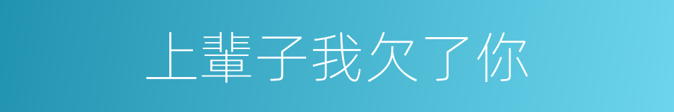 上輩子我欠了你的同義詞