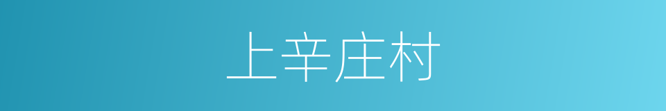 上辛庄村的同义词