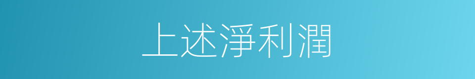 上述淨利潤的同義詞