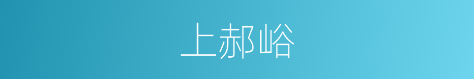 上郝峪的同义词