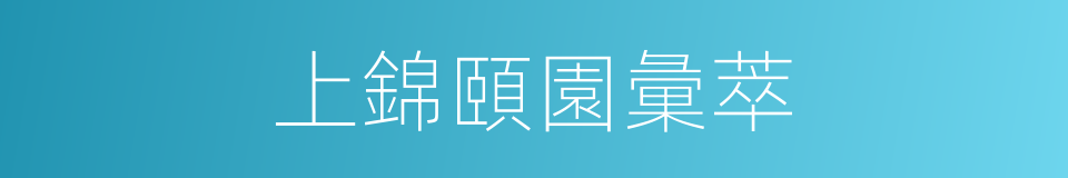 上錦頤園彙萃的同義詞