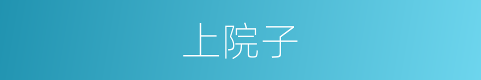 上院子的同义词