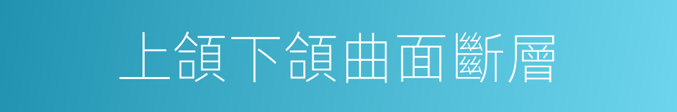 上頜下頜曲面斷層的同義詞