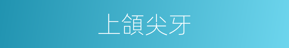 上頜尖牙的同義詞