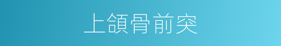 上頜骨前突的同義詞