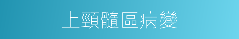 上頸髓區病變的同義詞