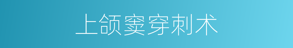 上颌窦穿刺术的同义词