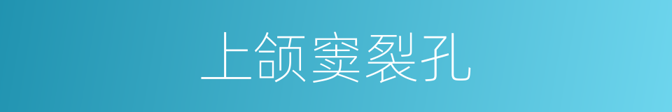 上颌窦裂孔的同义词