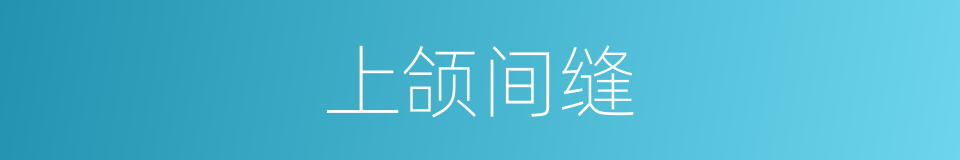 上颌间缝的同义词