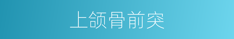 上颌骨前突的同义词