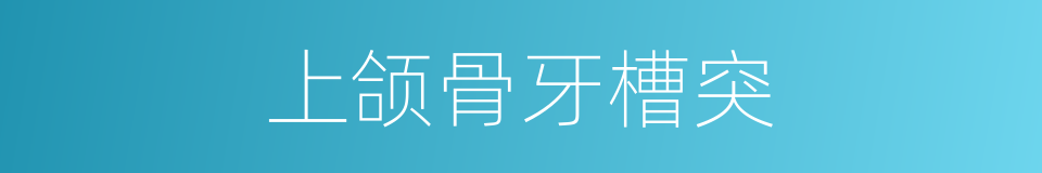 上颌骨牙槽突的同义词