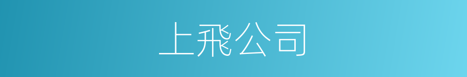 上飛公司的意思