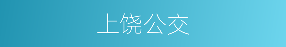 上饶公交的同义词