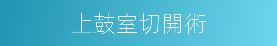 上鼓室切開術的同義詞