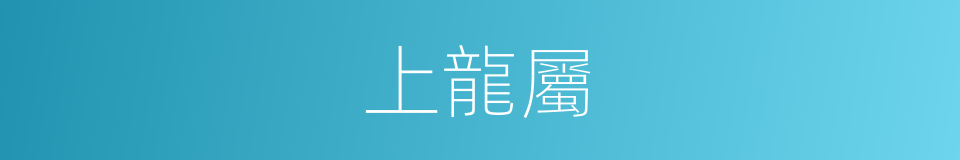 上龍屬的同義詞