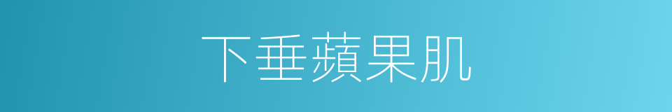 下垂蘋果肌的同義詞