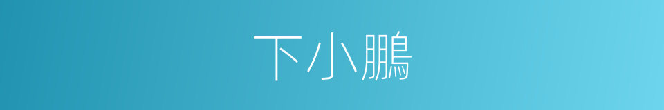 下小鵬的同義詞