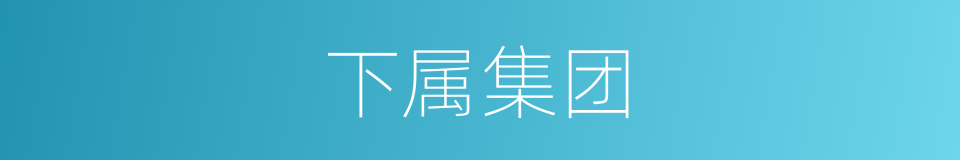 下属集团的同义词