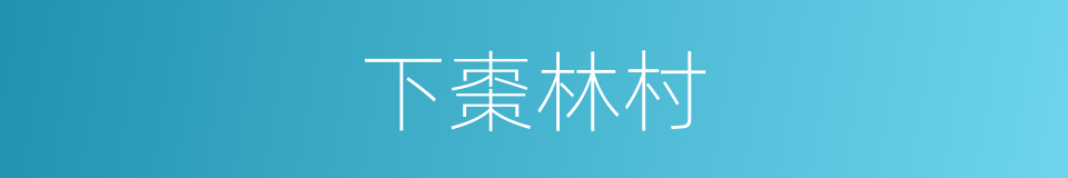 下棗林村的同義詞