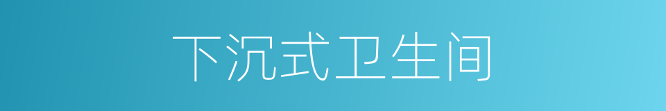 下沉式卫生间的同义词