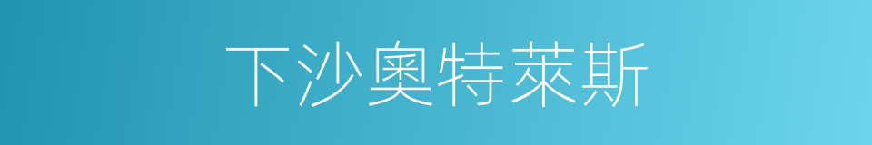 下沙奧特萊斯的同義詞