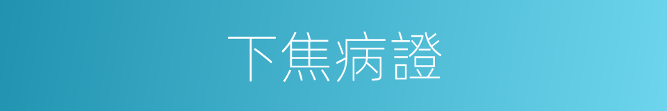 下焦病證的意思