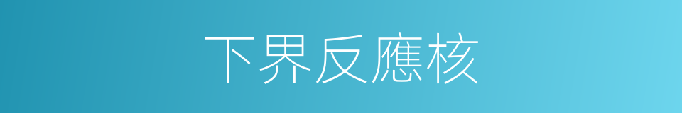 下界反應核的同義詞
