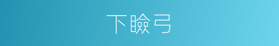 下瞼弓的同義詞