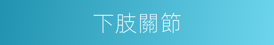 下肢關節的同義詞