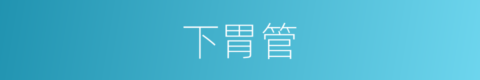 下胃管的同义词