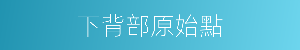 下背部原始點的同義詞