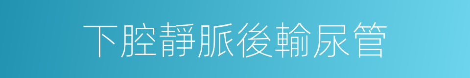 下腔靜脈後輸尿管的同義詞