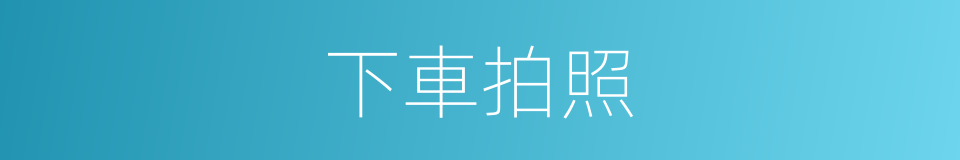 下車拍照的同義詞