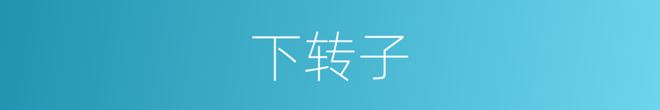 下转子的同义词