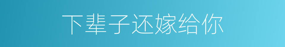 下辈子还嫁给你的同义词