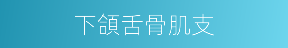 下頜舌骨肌支的同義詞