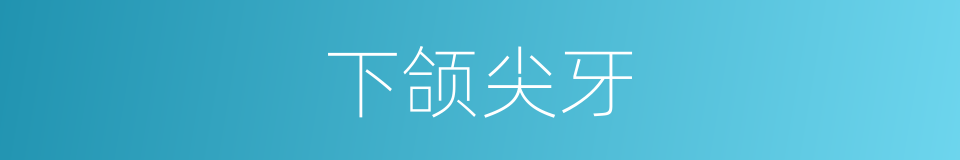 下颌尖牙的同义词