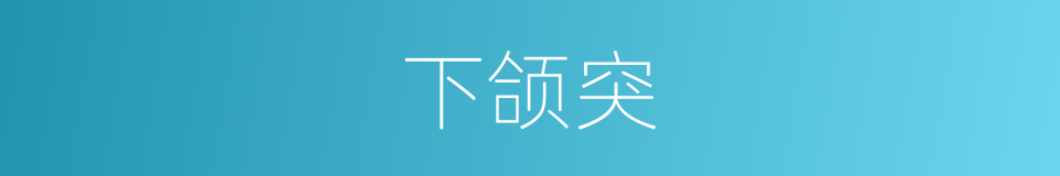 下颌突的同义词