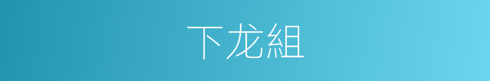 下龙組的同義詞