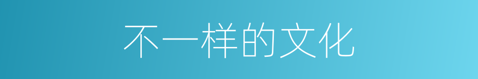 不一样的文化的同义词