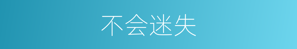 不会迷失的同义词