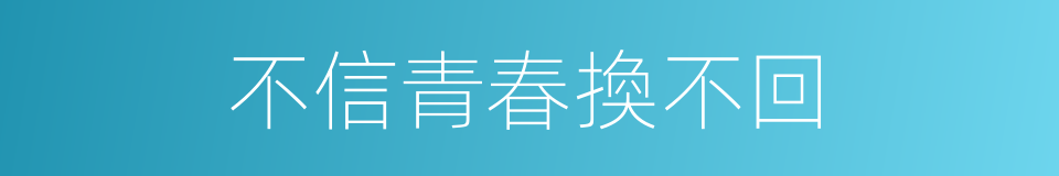不信青春換不回的同義詞