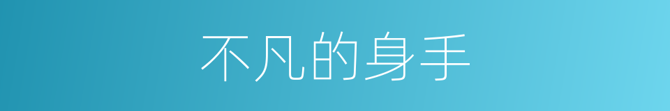 不凡的身手的同义词